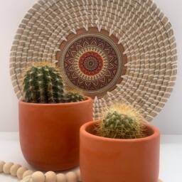 3In Desert Concrete Plant Pot Minimalist Boho Planter - thumbnail 3