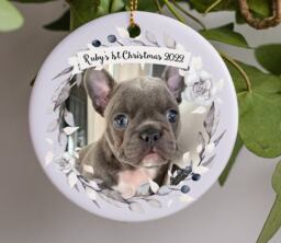 Personalised Pet Dog Puppy First Christmas Keepsake Memory Gift Decoration - Your Photo Added