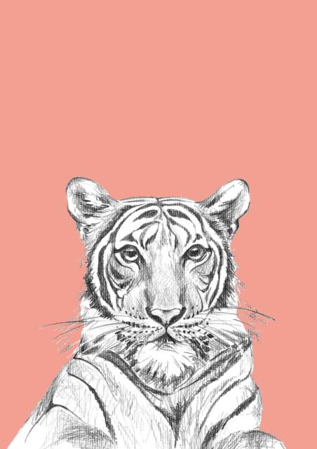 Tiger Illustration, Kids Animals Room Decor, Baby Print 21x30, Wall Decor - image 1