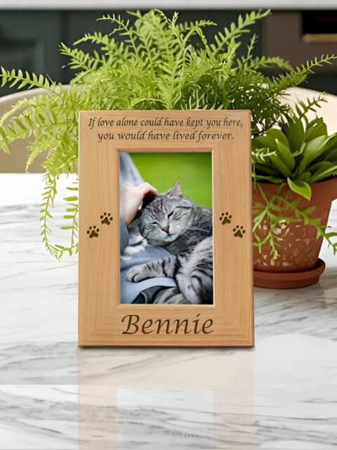 Cat Memorial Frame If Love Pet Remembrance Personalized Keepsake Wooden Photo Custom Engraved Feline Tribute Sympathy Gift - image 1