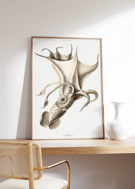 Antique Squid Print, Marine Animal Illustration, Nautical Home Decor, Ocean Wall Art, Nature Sea Poster, Coral Life Drawing, Digital - image 1