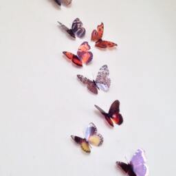 3D Butterfly Wall Art Natural Flying Removable Decor, Set Of 10 - thumbnail 2