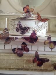 3D Butterfly Wall Art Natural Flying Removable Decor, Set Of 10 - thumbnail 1