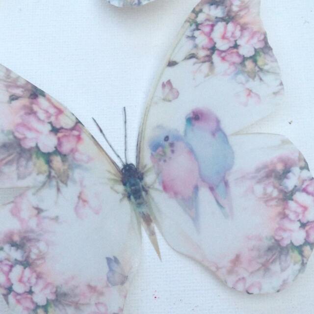 Pastel Butterfly Wall Decals Shabby Chic Nursery Art, Pink Roses, Budgies - image 1