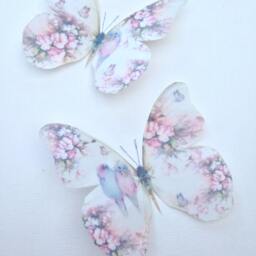 Pastel Butterfly Wall Decals Shabby Chic Nursery Art, Pink Roses, Budgies - thumbnail 2