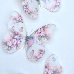 Pastel Butterfly Wall Decals Shabby Chic Nursery Art, Pink Roses, Budgies - thumbnail 4
