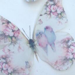 Pastel Butterfly Wall Decals Shabby Chic Nursery Art, Pink Roses, Budgies