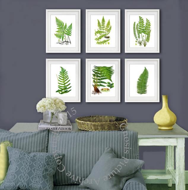 Fern Print Set Of 6 Wall Art Prints Unframed Green Nature Botanical House Plant Decor - image 1