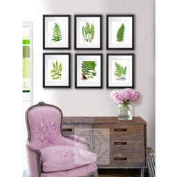 Fern Print Set Of 6 Wall Art Prints Unframed Green Nature Botanical House Plant Decor - thumbnail 2