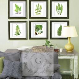 Fern Print Set Of 6 Wall Art Prints Unframed Green Nature Botanical House Plant Decor - thumbnail 3