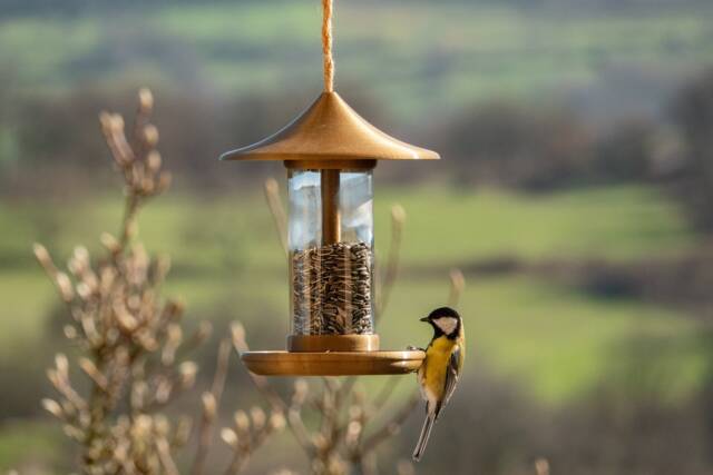 Decorative Bird Feeder - Gold - image 1