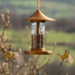 Decorative Bird Feeder - Gold - thumbnail 2