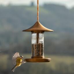 Decorative Bird Feeder - Gold - thumbnail 3