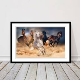 Wild Horses Galloping Through Sand. Framed Picture With Choice Of Frame Colours & Options - thumbnail 1