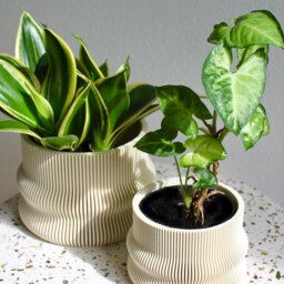 Set Of 2 Plant Pots Homer Almond Cream 3Dprinted - thumbnail 2