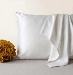 Mulberry Silk Pillowcase 22 Momme, Envelope Closure, Oeko-Tex Certified - thumbnail 1