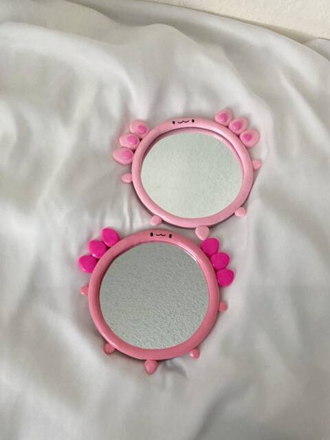Axolotl Mirror - image 1