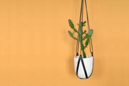 Black Leather Hanging Planter Modern Home Decor