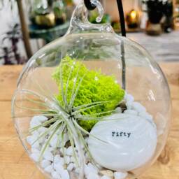 Diy Terrarium Air Plant Kit, Birthday Gift For 50 Year Olds. Fifty Birthday. 50Th Gift. Air Plant Terrarium Present - thumbnail 3