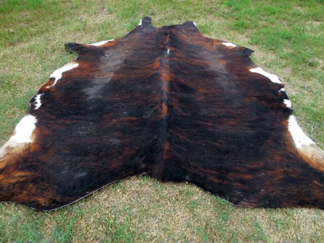 Brindle Dark Brown Large New Cowhide Rug Natural Hair On - 6x6 Ft Size Approx Tri-Color Chocolate Tones Soft Carpet Cow Hide R-R O - image 1