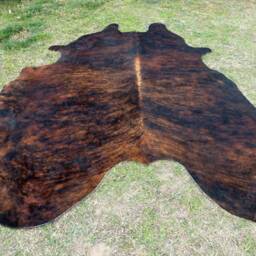 Brindle Dark Brown Large New Cowhide Rug Natural Hair On - 6x6 Ft Size Approx Tri-Color Chocolate Tones Soft Carpet Cow Hide R-R O - thumbnail 2