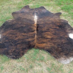 Brindle Dark Brown Large New Cowhide Rug Natural Hair On - 6x6 Ft Size Approx Tri-Color Chocolate Tones Soft Carpet Cow Hide R-R O - thumbnail 3