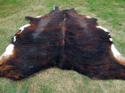 Brindle Dark Brown Large New Cowhide Rug Natural Hair On - 6x6 Ft Size Approx Tri-Color Chocolate Tones Soft Carpet Cow Hide R-R O - thumbnail 1