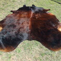 Brindle Dark Brown Large New Cowhide Rug Natural Hair On - 6x6 Ft Size Approx Tri-Color Chocolate Tones Soft Carpet Cow Hide R-R O - thumbnail 4