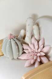 Sage Cactus Pillow Set Saguaro, Succulent, Barrel - Desert & Southwest Nursery Decor