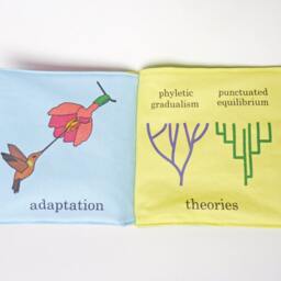 Baby's First Evolutionary Biology Book - thumbnail 4