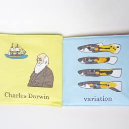 Baby's First Evolutionary Biology Book - thumbnail 2