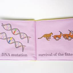 Baby's First Evolutionary Biology Book - thumbnail 3