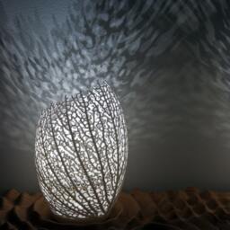 Hyphae Lamp 3D Printed Nylon Table Lamp With Branching Shadows - thumbnail 1