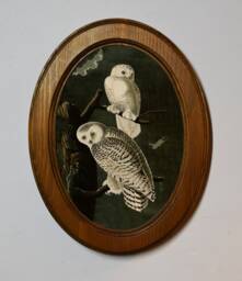 Snowy Owls Art Print, John James Audubon, Oval Oak Wood Frame - thumbnail 1
