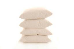 New Hollowfibre Cushion Pad 2 X 17 - 43 cm 43 cm