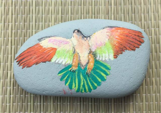 Peregrine Falcon