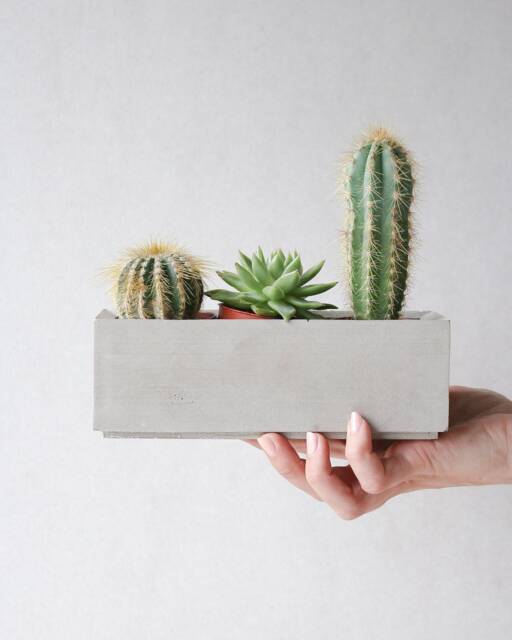 Concrete Indoor Garden Planter, Handcrafted Planter Enhancing Your Green Spaces With Timeless Charm & Durability Great Gift Idea - image 1
