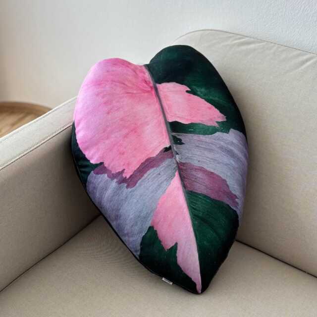Philodendron Pink Princess Pillow Variegated Leaf, Plant Lover Gift - image 1