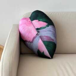 Philodendron Pink Princess Pillow Variegated Leaf, Plant Lover Gift - thumbnail 3