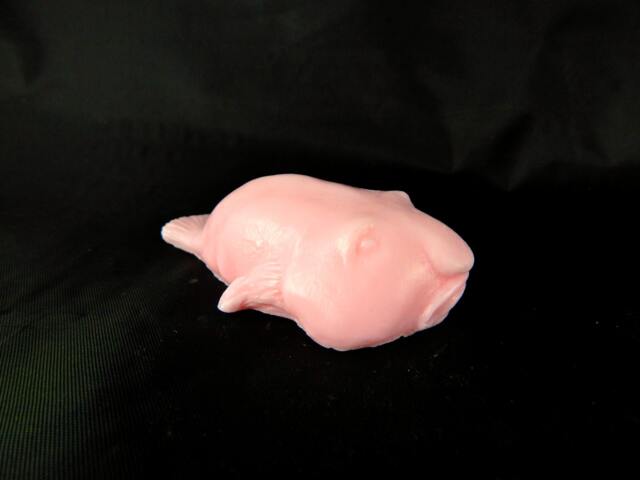 Blobfish Soap - image 1
