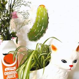 Pickle Gerkin Mirror - thumbnail 3