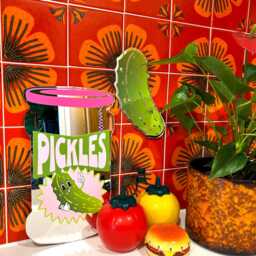 Pickle Gerkin Mirror - thumbnail 4