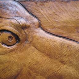 Realistic Bear Wall Sculpture - thumbnail 3