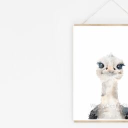 Watercolor Ostrich Print Hand-Signed Savanna Nursery Art - thumbnail 3
