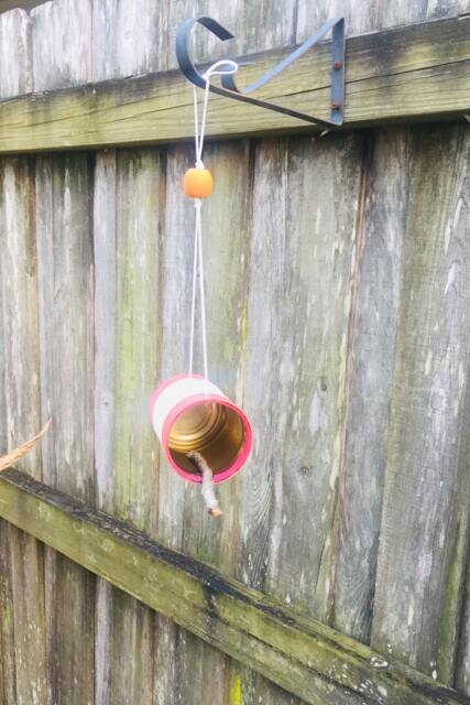 Sweet Rhubarb Bird Feeder - image 1