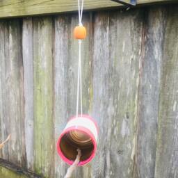 Sweet Rhubarb Bird Feeder - thumbnail 3