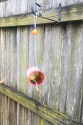 Sweet Rhubarb Bird Feeder
