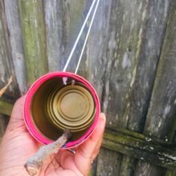 Sweet Rhubarb Bird Feeder - thumbnail 4
