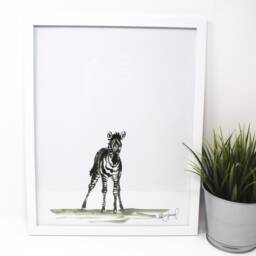 Baby Zebra Art Print - 11x14, Animal Art, Safari Animals, Home Decor, Nursery Wall - thumbnail 2