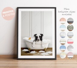 Border Collie Dog in A Bath Print, Dachshund Bathing, Funny Bathroom Animal Bathtub, Tub Whimsy Sheep - thumbnail 1